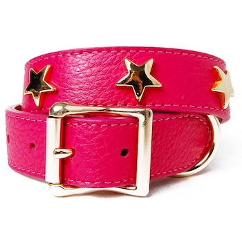 E-Comm: Just 21 Cute Things to Celebrate National Puppy Day